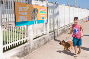 Prefeitura encerra Campanha de Vacinação Antirrábica em Boa Vista com mais de 30 mil animais vacinados