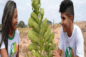 Adolescentes se encantam com diversidade de plantas às margens do rio Cauamé