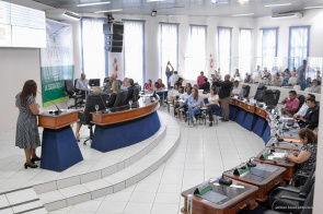 Plano Municipal da Primeira Infância foi tema de audiência pública na Câmara Municipal