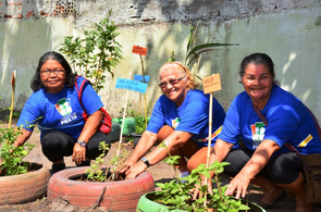 Cabelos de Prata: Idosos do núcleo São Pedro cultivam horta ecológica
