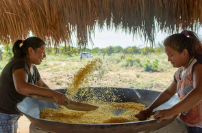 Comunidades Indígenas melhoram renda e alimentação com Casas de Farinha