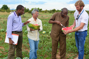 Pesquisadores de universidade africana conhecem áreas de produção agrícola em Boa Vista