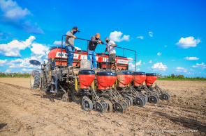 Agricultores familiares e indígenas iniciam plantio de feijão na zona rural de Boa Vista