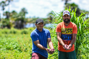 Top 5 do agronegócio -  Investimentos aumentam produção agrícola e movimentam economia em Boa Vista