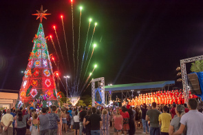 Convite - Prefeita Teresa entrega duas árvores de natal nesta quarta-feira  