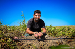 Taxista troca cidade pelo campo, investe no plantio de batata-doce e dobra a produção com apoio da Prefeitura de Boa Vista