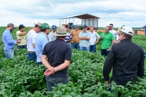 AgrofestBV 2019 - Caravana composta por empresários e investidores conhece potencial produtivo de Boa Vista