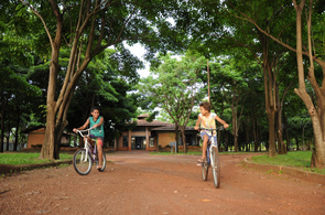  Conheça os benefícios de uma cidade verde