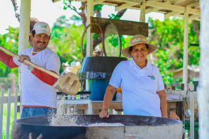 PMDA - Agricultores exploram novas alternativas e iniciam produção de farinha da batata doce