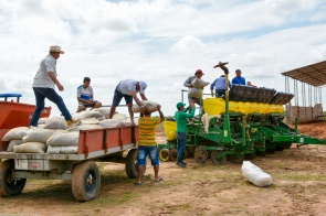 Safra 2019 - Produtores de Boa Vista traçam metas para o plantio de milho e soja