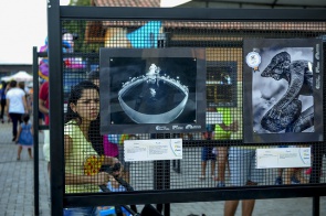 Agenda Cultural - Mostra Fotográfica, Igarapé Musical e espetáculo teatral são as boas opções para o fim de semana em Boa Vista