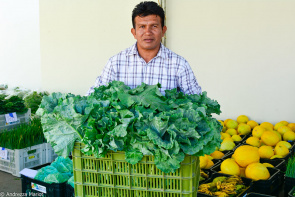 PAA -  Agricultores indígenas comemoram primeira entrega ao Programa de Aquisição de Alimentos 