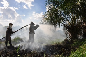 Crime ambiental - Queimadas urbanas causam transtornos e representam risco à saúde em Boa Vista