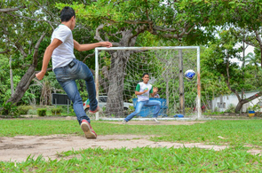  Programa Dedo Verde comemora aniversário dos 23 anos de criação