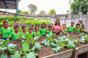 Alunos de escolas municipais cultivam hortas comunitárias e mantêm alimentação saudável