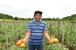 Agricultores das comunidades indígenas de Boa Vista contam com a assistência da prefeitura para aumentar a produção