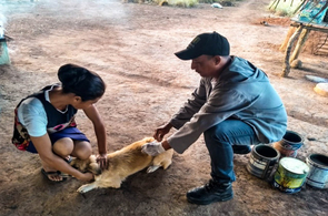 Iniciativa da prefeitura levará vacinação antirrábica a área rural de Boa Vista