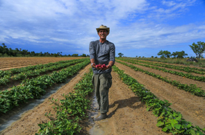 AgroFestBV celebrará boa fase da agricultura familiar em Boa Vista