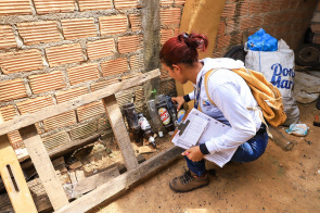 Aedes aegypti - Prefeitura alerta população para evitar criadouros do mosquito nos quintais das casas