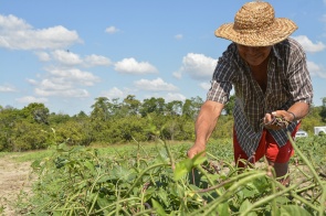 Convite - Prefeitura de Boa Vista incentiva a agricultura familiar e leva alimento a quem mais precisa