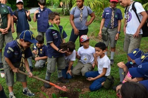 Bosque dos Papagaios - Grupo de Escoteiros encerra a programação da Semana Municipal do Meio Ambiente