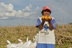 Convite - Lançamento do Programa de Aquisição de Alimentos e entrega de maquinários