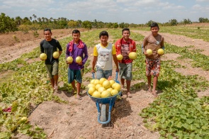 Comunidades indígenas - Merenda escolar é reforçada com safras produzidas com auxílio da prefeitura   