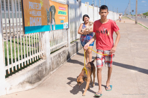 Vacinação antirrábica - Penúltimo fim de semana da campanha tem quase 4 mil animais imunizados