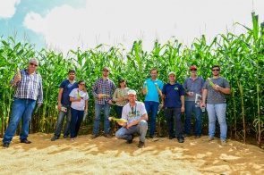 AgrofestBV2019 - Palestras e oficinas vão contribuir para o desenvolvimento do setor agrícola em Boa Vista 