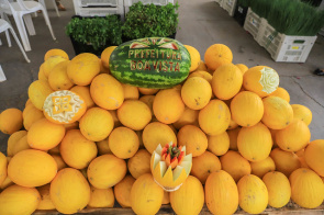 Agricultura Familiar - Agricultores já podem se cadastrar para a segunda etapa do Programa de Aquisição de Alimentos