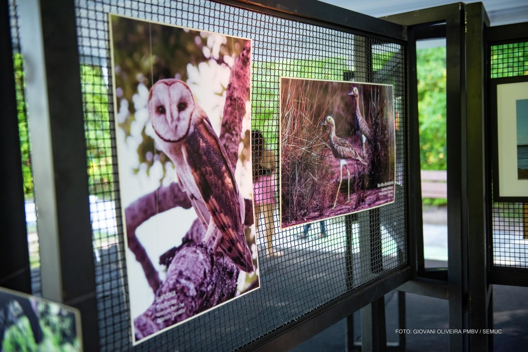 MEIO AMBIENTE - Exposição em alusão ao Dia da Floresta e Dia da Água contou com acervo de profissionais da fotografia Roraimense