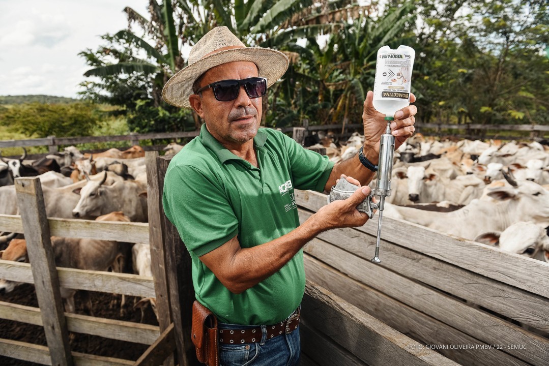 CONTRA FEBRE AFTOSA - Prefeitura dá início na segunda-feira, 10, à primeira etapa 2023 de vacinação nas comunidades indígenas