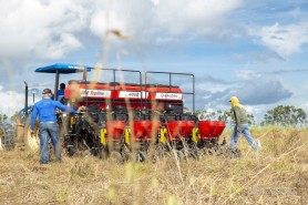 Campo Experimental 2021 - Prefeitura inicia cultivo para geração de informações aos produtores agrícolas em Boa vista